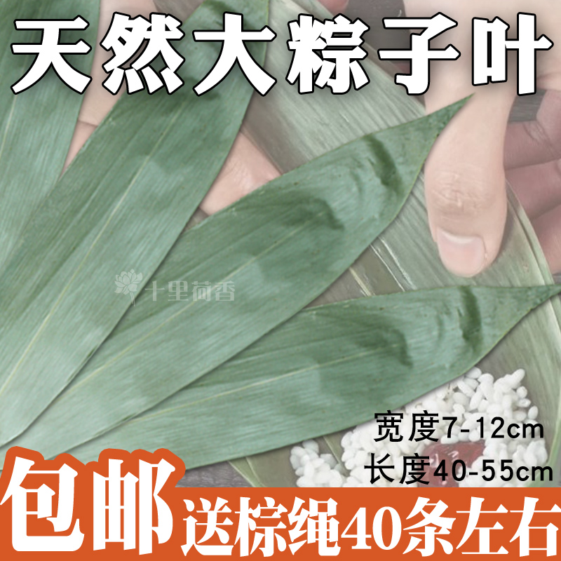 新叶大野生鲜粽叶干新鲜包粽子的叶子麻叶大号纯天然棕叶烘干廖叶|msdalam kategori beras/Utara-Selatan barangan kering/perasa, Utara-Selatan barangan kering/daging Kering, kering/Native, lain - dari Buy2taobao.com untuk memberikan perkhidmatan ejen Taobao profesional membeli