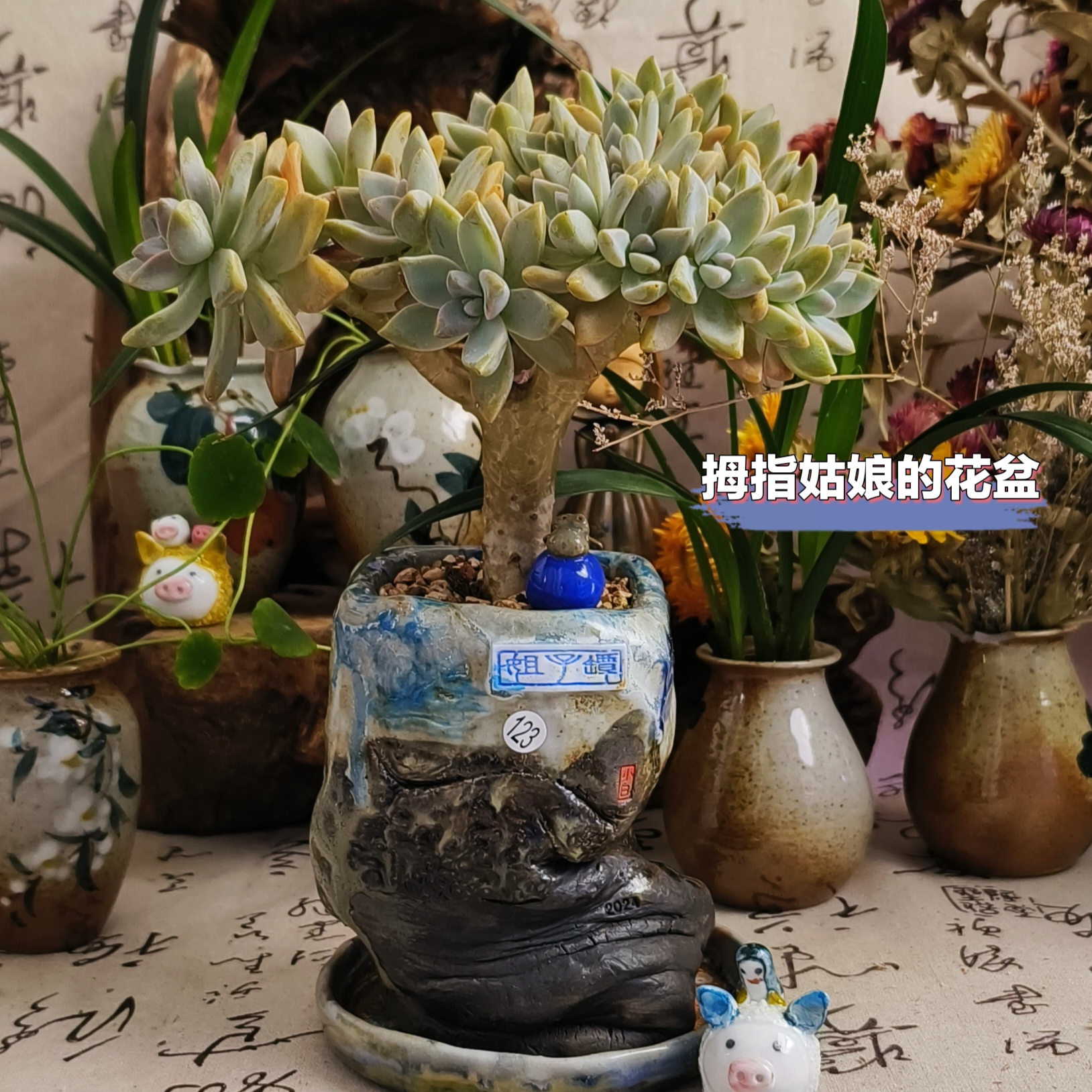 景德镇手工多肉花盆漂亮的花盆手捏异形孤品老桩盆粗陶花盆复古