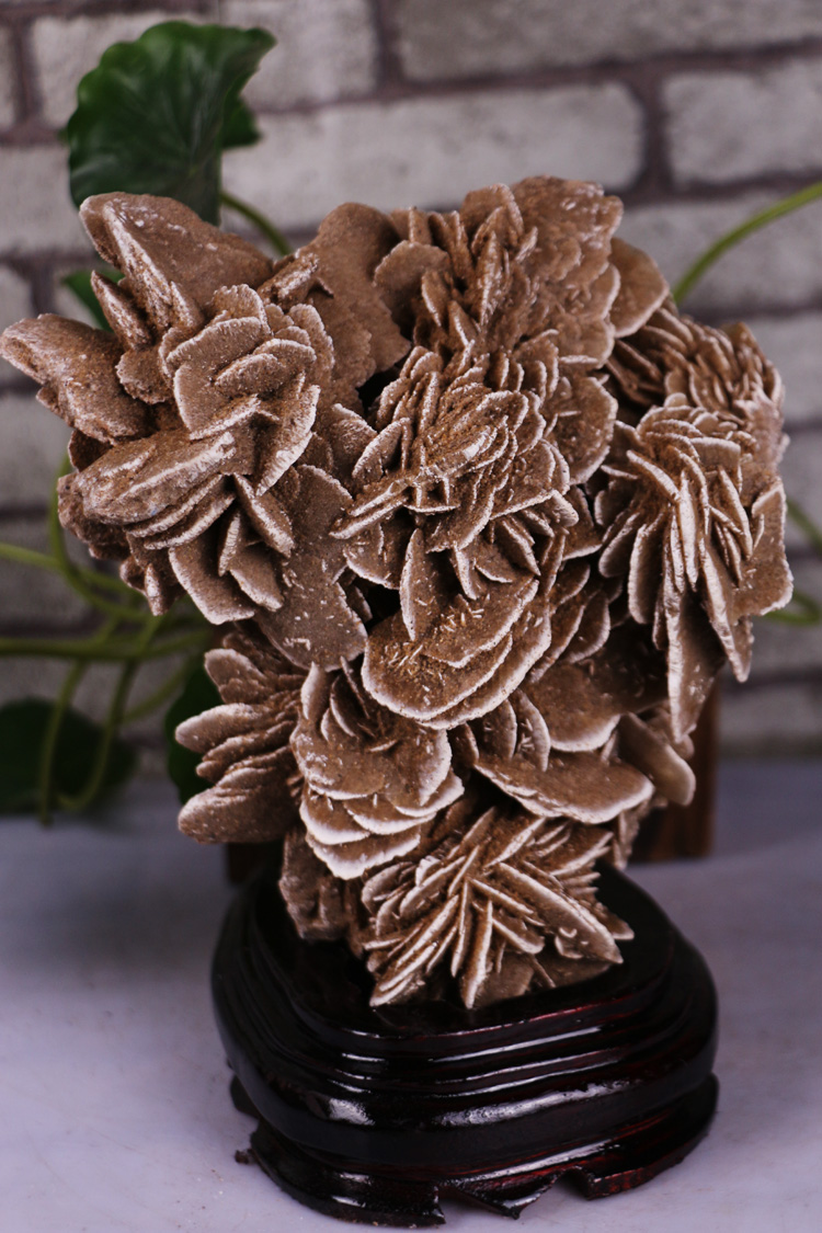 沙漠玫瑰原石大额优惠券