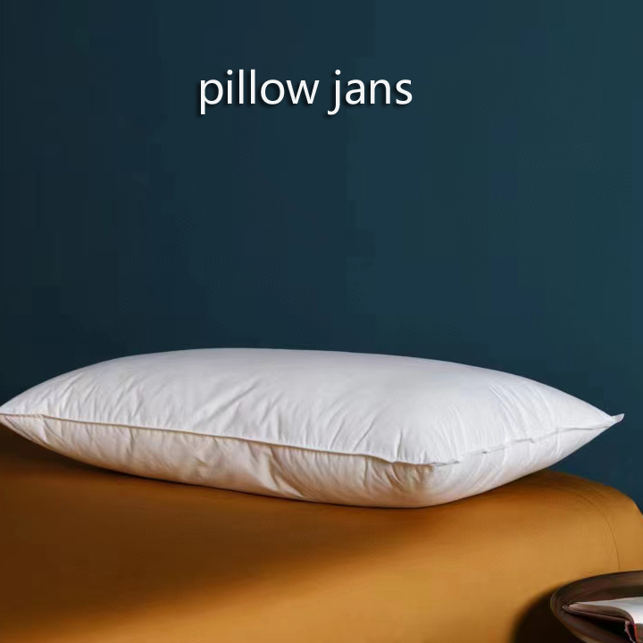 高端专柜枕芯Pillow 超柔回弹护颈健康枕头外贸开关工作 单只价