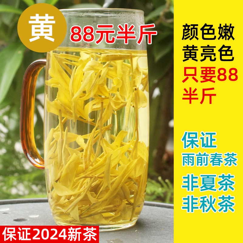 2024年新茶乐茁黄金芽-雨前一浓香口粮级-春茶高山安吉黄金白茶叶