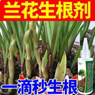 生根药水复活液枯树再生液【强力生根】兰花生根生根剂生根壮苗剂