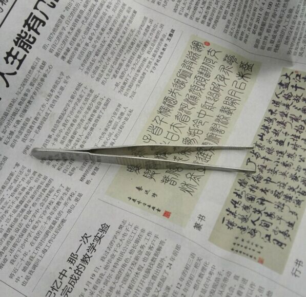 不锈钢镊子苔藓微景观造景辅助工具 多肉植物园艺DIY道具手工夹子|msdalam kategori perkakasan/alat, Alat-alat tangan, memegang Tools, Lain Tools Holding - dari Buy2taobao.com untuk memberikan perkhidmatan ejen Taobao profesional membeli