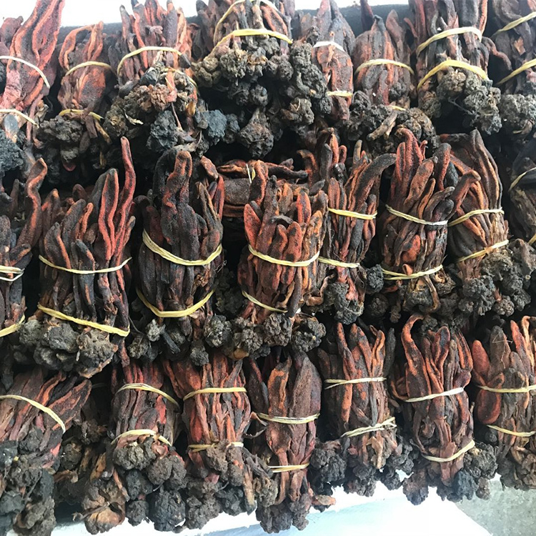 润之堂的优惠券大全—新货250g回春草不老草顶天柱泡酒料风流果锁阳肉