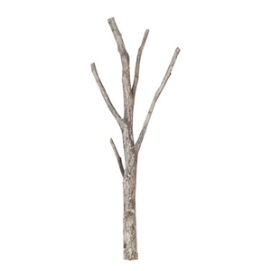 多杈带分枝造型小树杆幼儿园干树枝