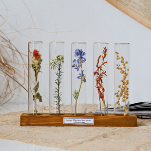 玻璃试管植物标本花卉昆虫树叶干枝真花桌面装饰摆件复古创意礼物