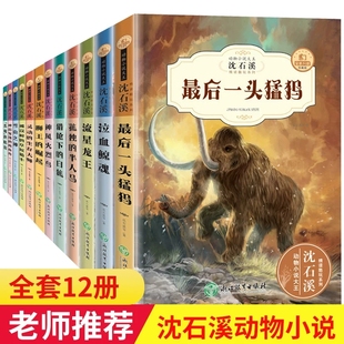 沈石溪动物小说全集正版全套12册 沈石溪的书全系列 小学生初中生四五六七年级课外阅读书籍儿童故事6-12周岁必读读物狼王梦畅销书