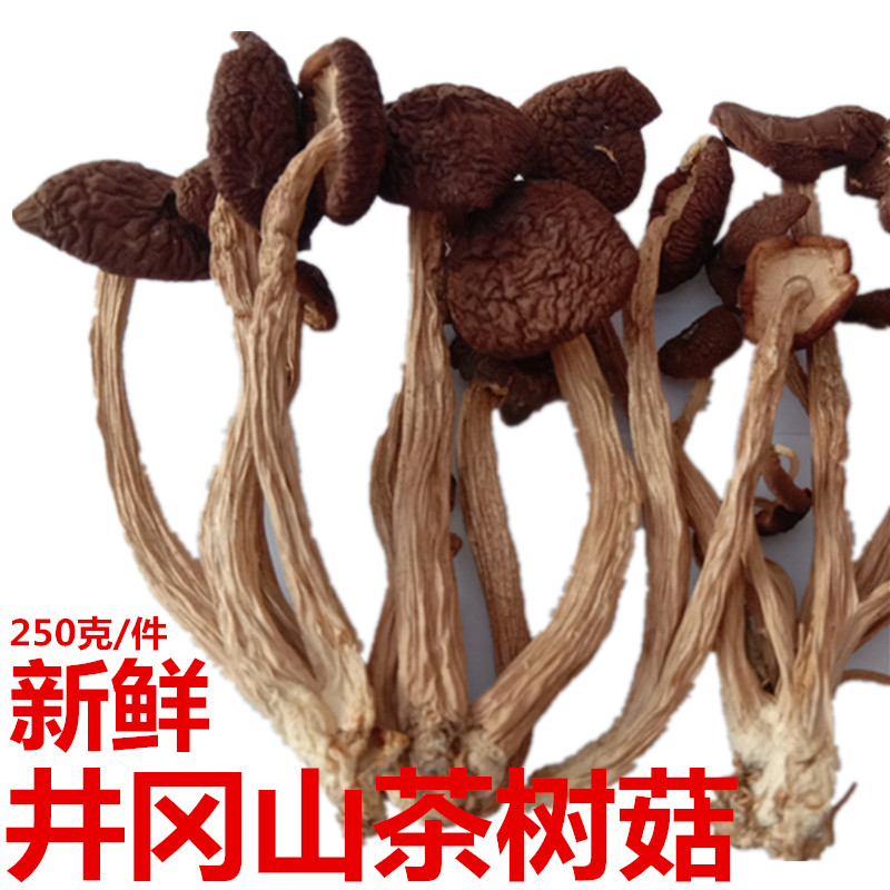 井冈散称野生特级茶树菇山货蘑菇菌草干货井冈山土特产250克包邮在类目 粮油米面/南北干货/调味品, 南北干货/肉类干货, 干货/土特产, 香菇类中 - 来自Buy2taobao.com提供专业的淘宝代购服务