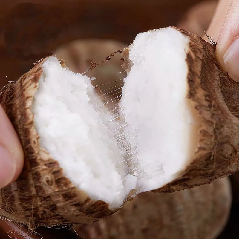 山东奶心芋头本地新鲜牛奶芋艿香芋香沙小毛芋头种植苗粉糯商用10