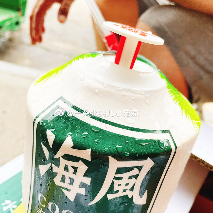 泰国海风椰青天然椰香回味甘甜原箱9粒装北京发货网红椰青