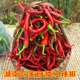 湖南本地农家自种新鲜红辣椒薄皮现摘现发二荆条中微线椒泡菜剁椒