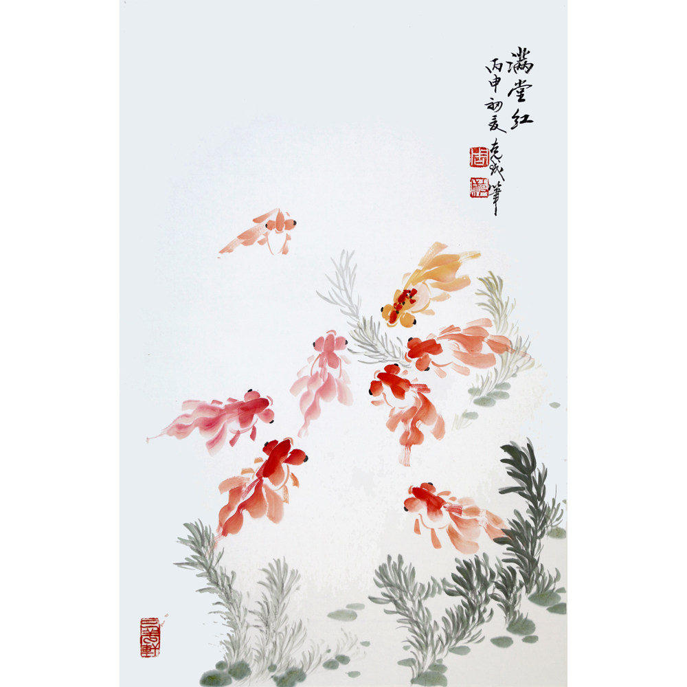 周克成 《满堂红》 金鱼名家