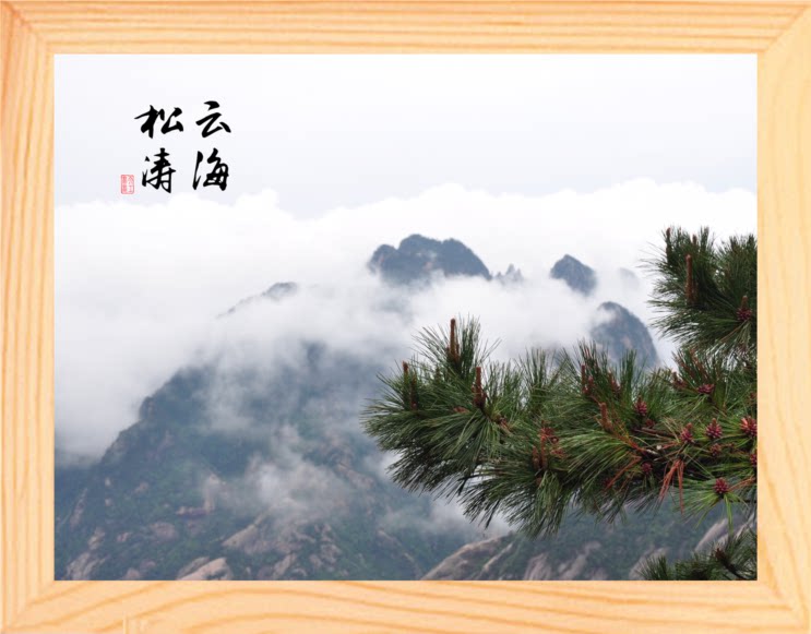 营养书画 天然实木有框画简约装饰画书房书架挂摆件 云海松涛