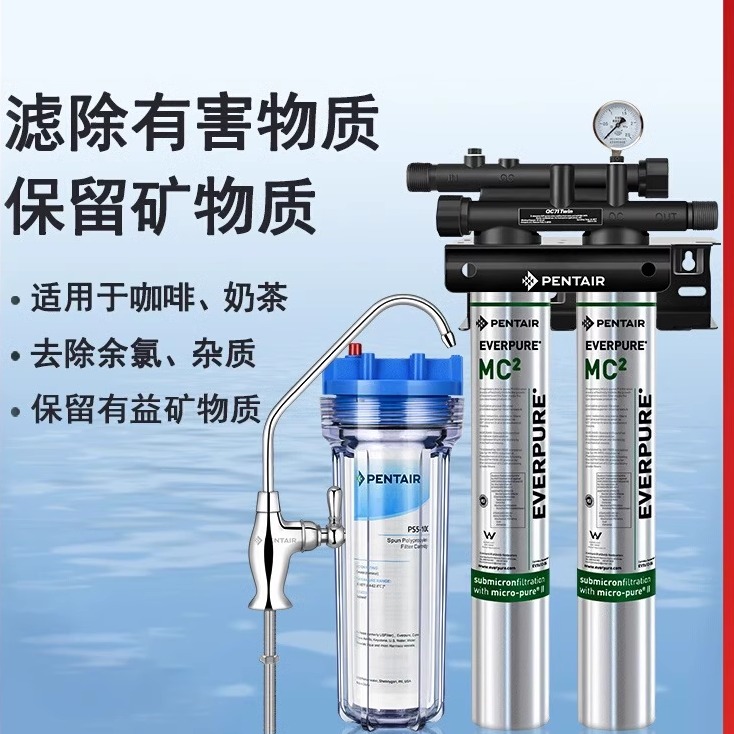 爱惠浦净水器MC2双联单联 商用奶