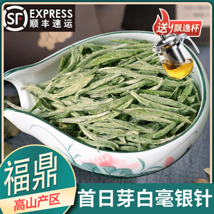 福鼎白茶首日芽白毫银针明前新茶头采春茶特级罐装礼盒装250g