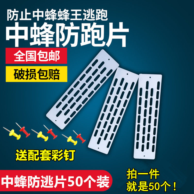 中蜂防逃片蜜蜂中蜂蜂王防逃王片蜂箱防跑片多功能防逃框防盗隔王