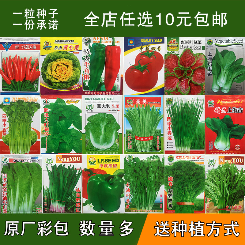 蔬菜种子套餐四季播阳台种菜庭院秋季水果盆栽菠菜小葱香菜韭菜籽