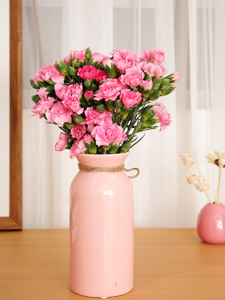 散装_直播专享云南鲜花基地直发一扎散装康乃馨家用水养插花速递同城