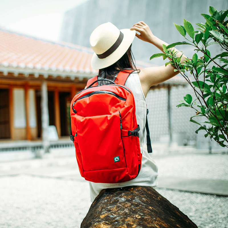 穷游旅行双肩包电脑包 一泊二日合页式收纳结构 防水防盗耐磨28L