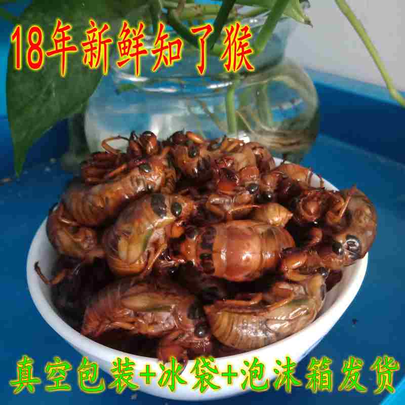 包邮!沂蒙特产2018年新鲜速冻知了猴金蝉蛹爬叉猴龟唐僧肉非油炸在类目 粮油米面/南北干货/调味品, 其他食品中 - 来自Buy2taobao.com提供专业的淘宝代购服务