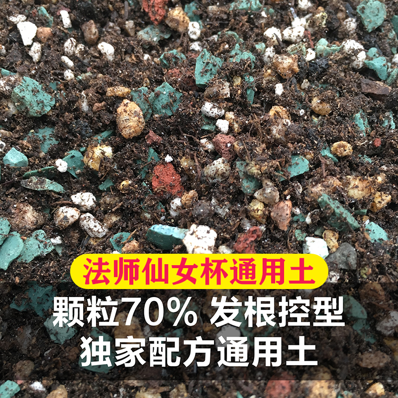 贝贝多肉西施独家多肉通用土颗粒土配方土韩国进口球球土发根上色