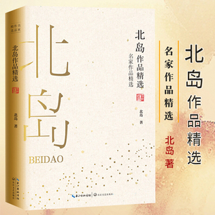 北岛诗集 朦胧派诗人代表诗集作品精选 给孩子 名家作品精选珍藏书系