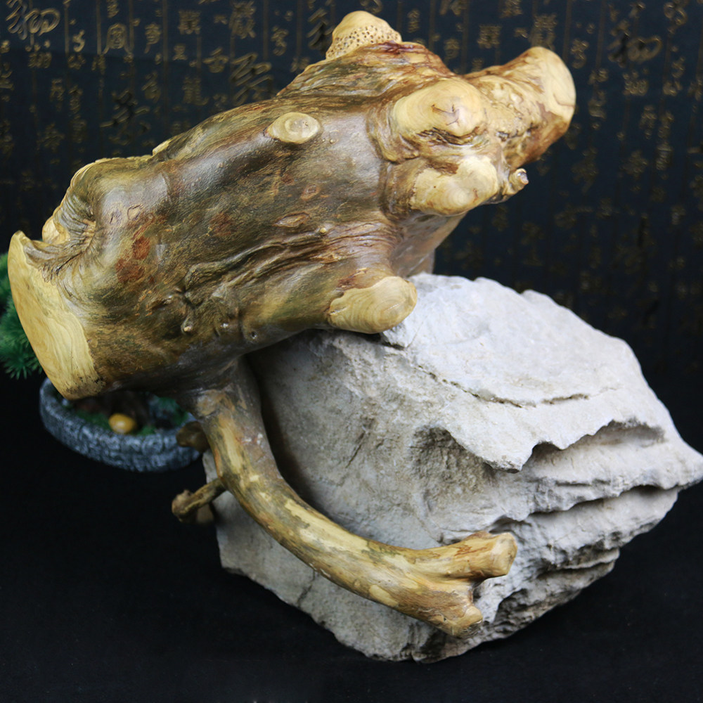 国家根艺大师吴筱阳《十八罗汉系列》材质根抱石