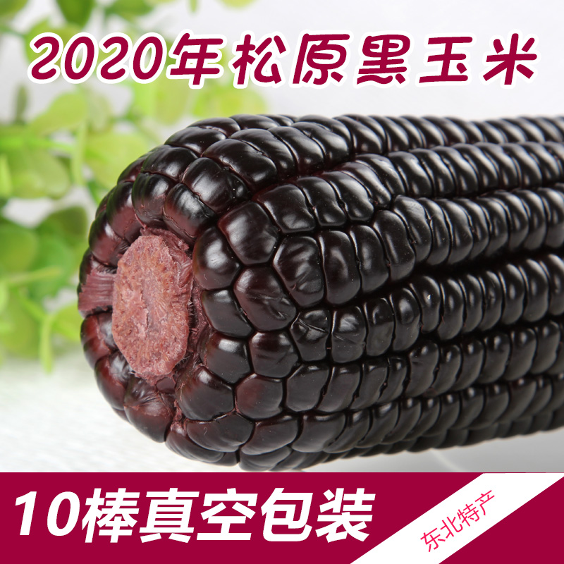 2021年东北松原黑玉米非转基因真空包装新鲜食用紫色棒10棒包邮