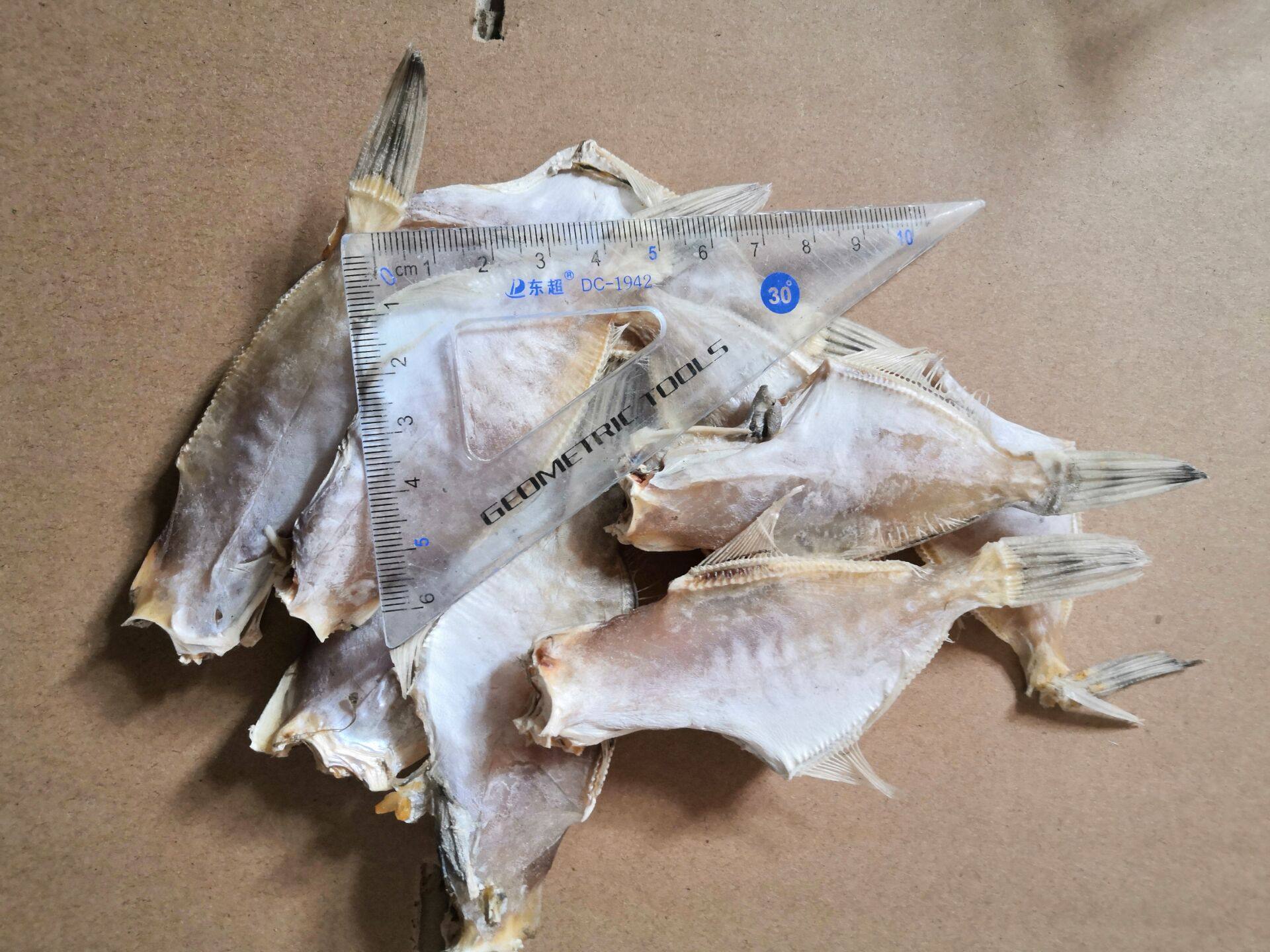 北海特产中号马面鱼干剥皮鱼迪仔鱼橡皮鱼250克包邮