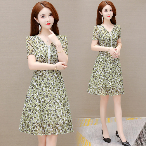 豆蔻年华2号 DZNHAD3923