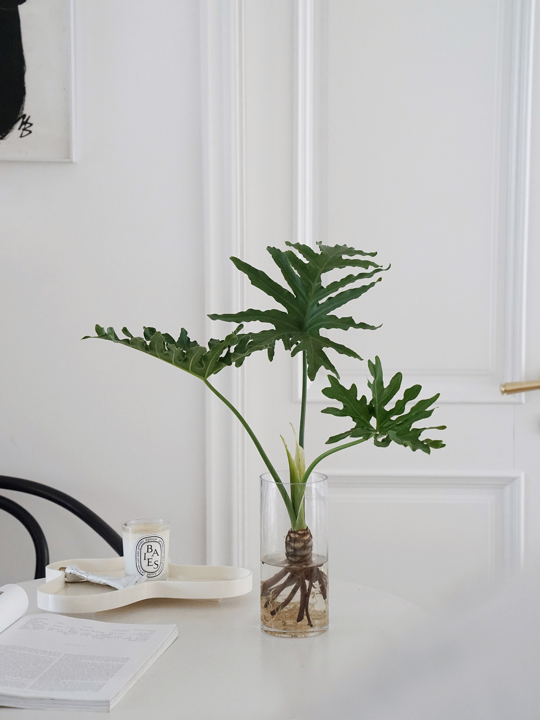 春羽-特价促销-优惠券领取-价格|多少钱|什么牌子好-35优惠券网站