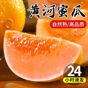 黄河蜜甜瓜新鲜水果当季9斤整箱包邮黄金蜜瓜脆香瓜哈密瓜羊角10