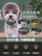 止吠器智能全自动电击项圈泰迪防叫宠物狗吠脖圈防狗叫扰民神器