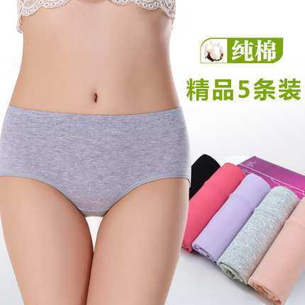 ɫӳļͲ10˫ļȫ޸˶ 23.90Ԫ