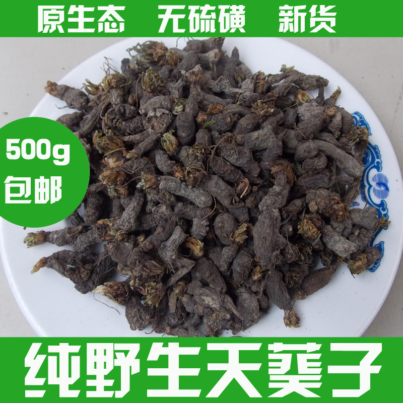 天葵子紫背天葵天葵根 天葵草 千年老鼠屎 金耗子屎 散血球500g