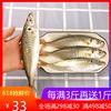 東山島海鮮 野生大巴浪魚 4條壹斤 新鮮海捕速凍海魚 海中氨基酸 東山島海鮮 野生大巴浪魚 4條壹斤 新鮮海捕速凍海魚 海中氨基酸
