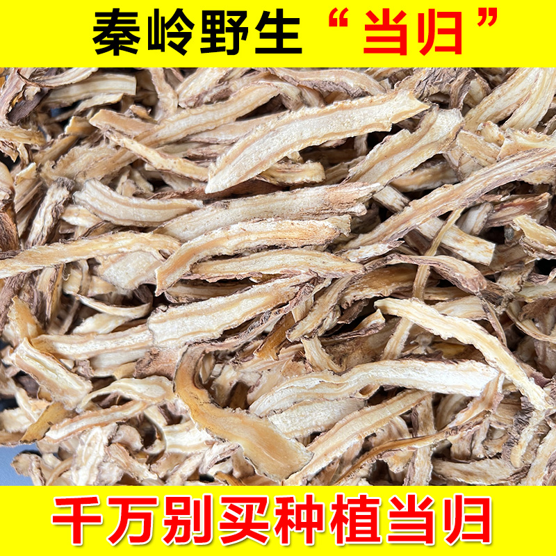 当归片中药材正品野生全当归500g