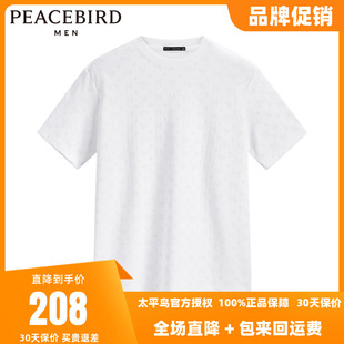 【商场同款】太平鸟男装2024年春季新款圆领T恤宽松上衣B1DAD1228