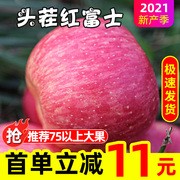 Red Fuji apple fresh fruit season ugly apple whole box 10 season first stubble green 5 catties with ten safe crisp and sweet