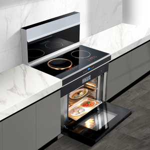 集成环保灶电磁炉图片