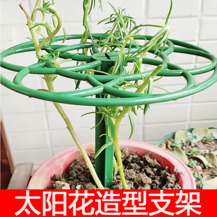 阳台太阳花造型架棒棒糖防倒伏花架子蟹爪兰支撑杆植物爬藤架多层