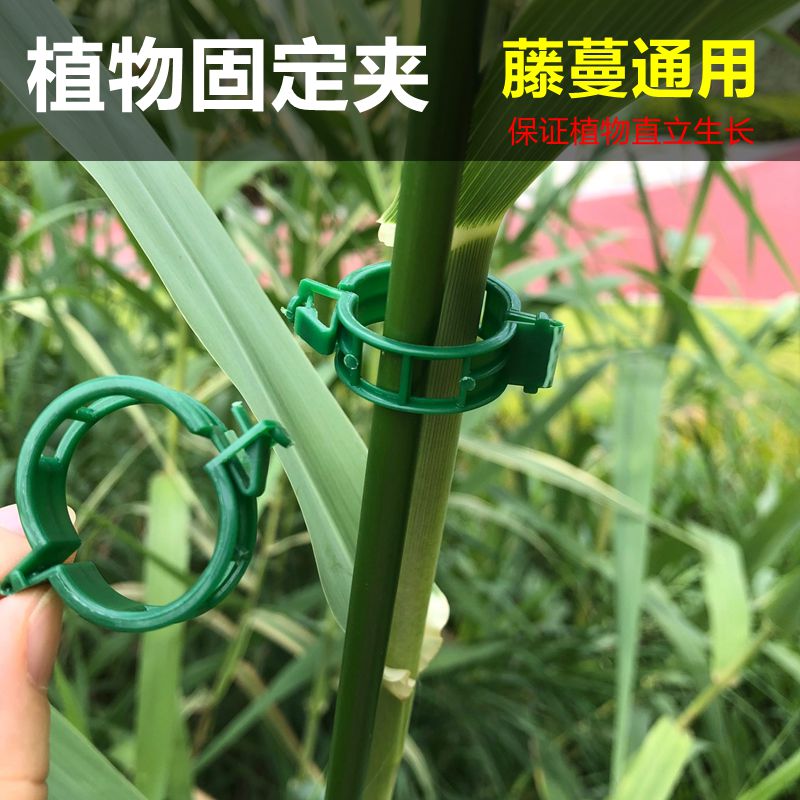 植物夹蔬菜瓜果花卉蔓藤植物夹 南瓜藤夹捆绑吊蔓夹蔓藤固定夹子