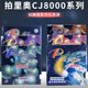 正品Palio拍里奥CJ8000乒乓球胶皮反胶套胶草鸡8000乒乓球拍胶皮