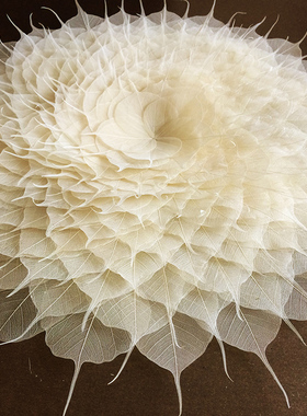 菩提叶脉标本真树叶干花diy手工材料禅意橱窗饰品滴胶绘画拼贴画