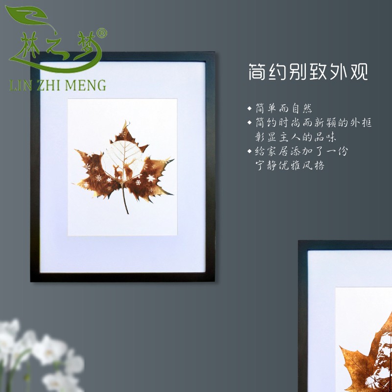 树叶标本装饰画客厅卧室乔迁咖啡馆沙发背景墙生日礼物黑色经典框|ruв категории Домашний быт, декоративная живопись, образец типа декоративная живопись - от Buy2taobao.com для оказания профессиональной услуги покупки агента Taobao