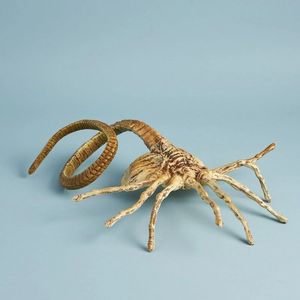 动漫 正版异形契约抓脸虫1:1模型抱脸虫 手办模型 抱面alien