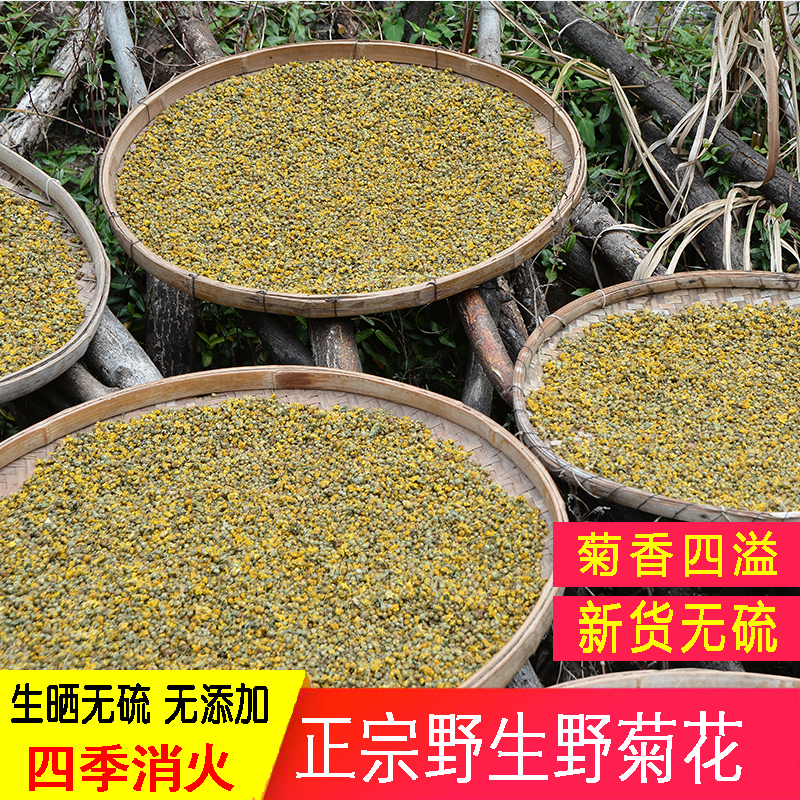 深山野菊花500g胎菊正宗农家无硫