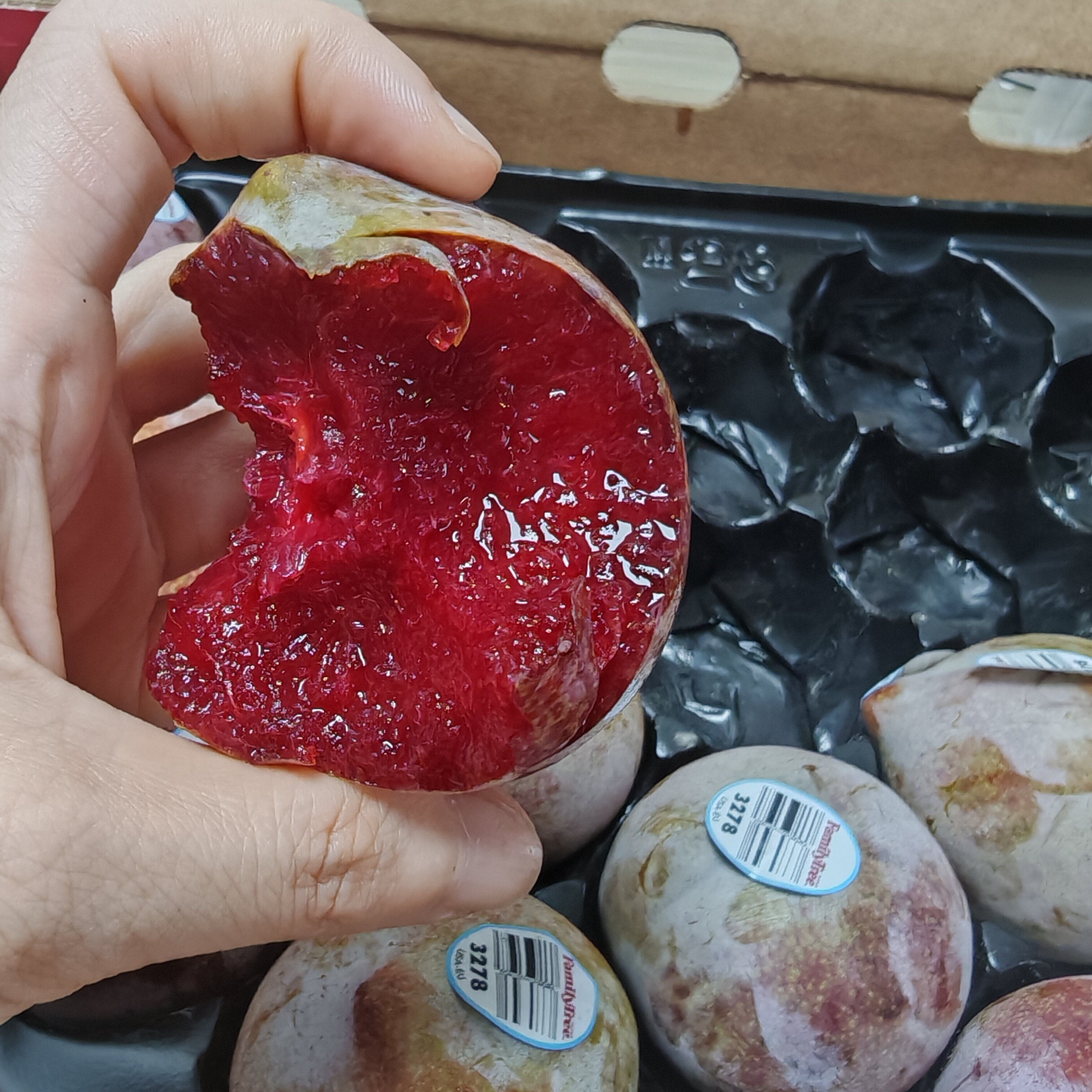 现货进口蜥蜴鳄鱼蛋恐龙蛋李子新鲜水果