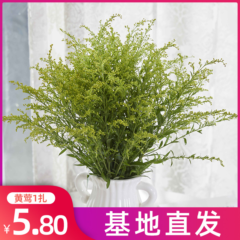 云南基地直发百合花玫瑰鲜花配草绿叶尤加利叶银叶黄莺草水养插花