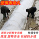 白色塑料薄膜小拱棚膜保温蔬菜大棚膜地膜防水塑料薄膜公路防护膜